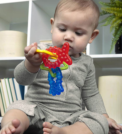 Baby Einstein Bideringe - Sæt m. 4 - Cool Critters