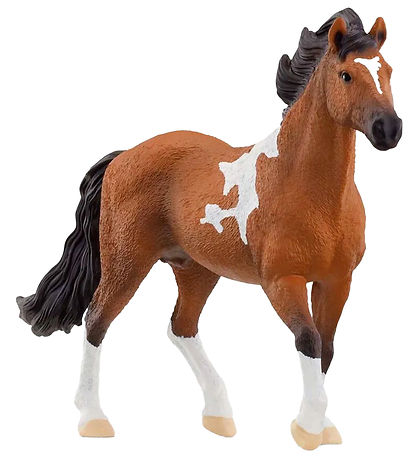 Schleich Horse Club - L: 17 cm - Mangalarga Marchador Hingst