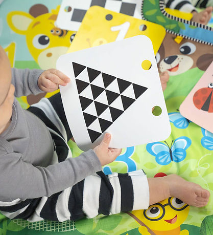 Baby Einstein Aktivitetstæppe - Discovery Garden