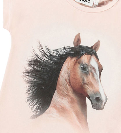 Molo T-shirt - Ragnhilde - Pony Amour