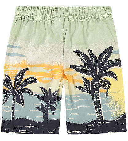 Molo Shorts - Adi - Beach Banana