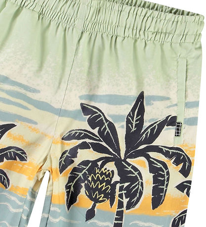 Molo Shorts - Adi - Beach Banana
