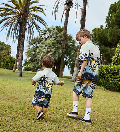 Molo Shorts - Adi - Beach Banana