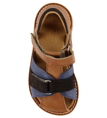 Angulus Sandaler - Tan/Indigo/Dark