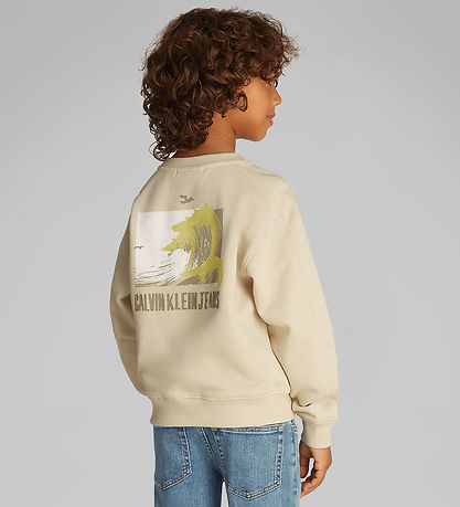 Calvin Klein Sweatshirt - Summer Backprint - Oyster Gray Grey