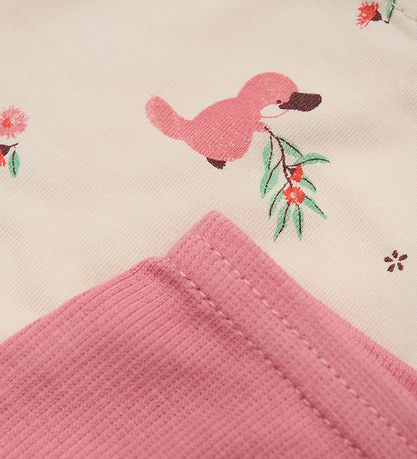 CeLaVi Hipsters - 2-pak - Powder Pink