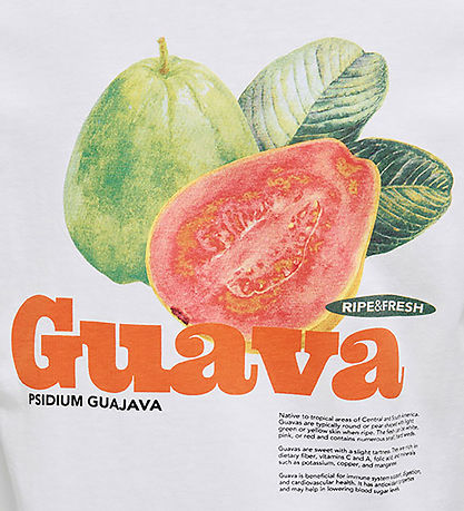 Kids Only T-shirt - KogPhoebe Life - Cloud Dancer/Guava