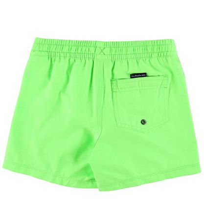 Quiksilver Badeshorts - Everyday - Green Gecko