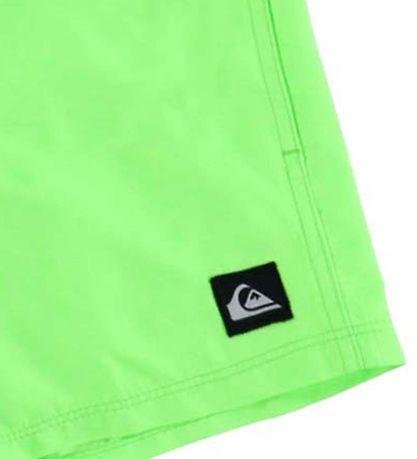 Quiksilver Badeshorts - Everyday - Green Gecko