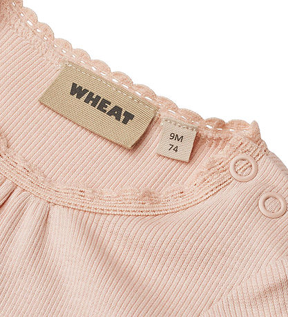 Wheat Body k/æ - Rib - Edna - Powder