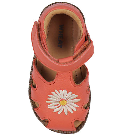 Wheat Sandaler - Lowe - Coral