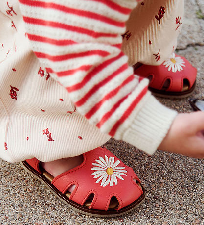 Wheat Sandaler - Lowe - Coral