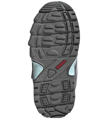 adidas Performance Sko - TERREX SKYCHASER MI - AURPLU/GLOGRY/SEF