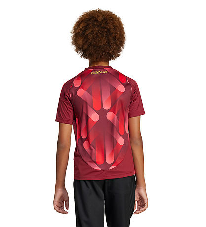 adidas Performance Fodboldtrøje - DFB A JSY Y - TECOBU