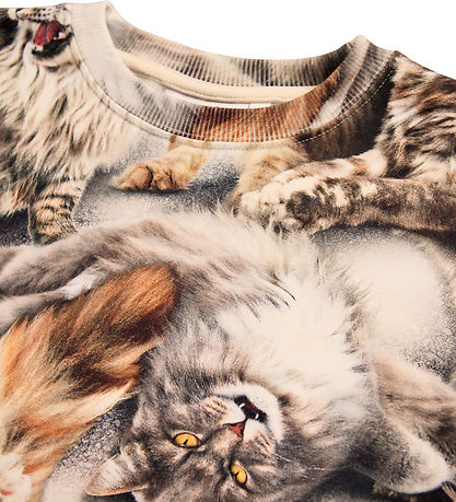 Molo Sweatshirt - Monti - Cattitudes