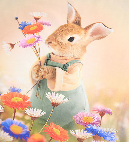 Molo T-shirt - Ragnhilde - Bunny Rabbit