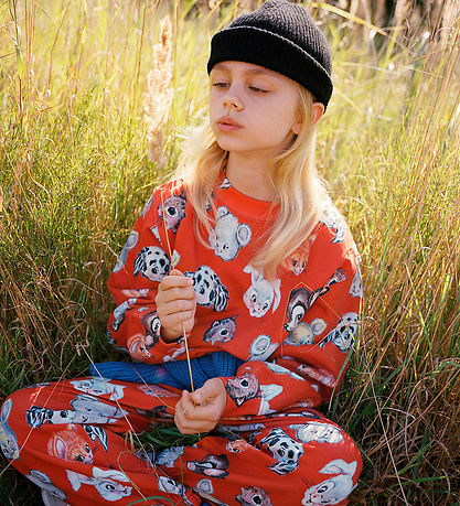 Molo Sweatshirt - Marge - Rising Sun