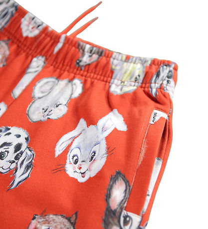 Molo Sweatpants - Adan - Rising Sun