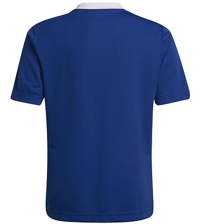adidas Performance T-shirt - ENT22 - Royblu