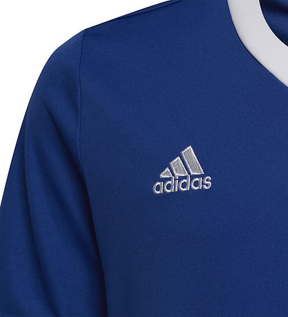 adidas Performance T-shirt - ENT22 - Royblu