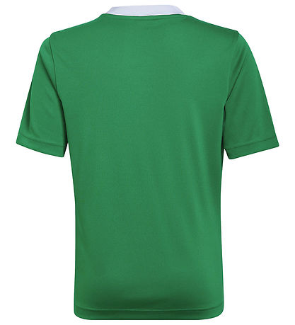 adidas Performance T-shirt - ENT22 - Teagrn/White