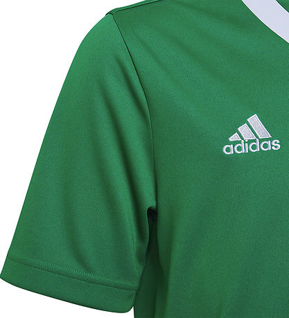 adidas Performance T-shirt - ENT22 - Teagrn/White