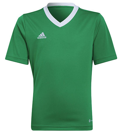 adidas Performance T-shirt - ENT22 - Teagrn/White