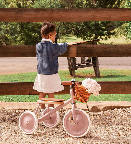 Banwood Cykel - Trike - 3-6 År - Dustypink