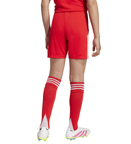adidas Performance Shorts - FCB H - Red
