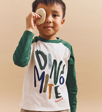 Liewood T-shirt - Dinomite / Garden Green / Sandy