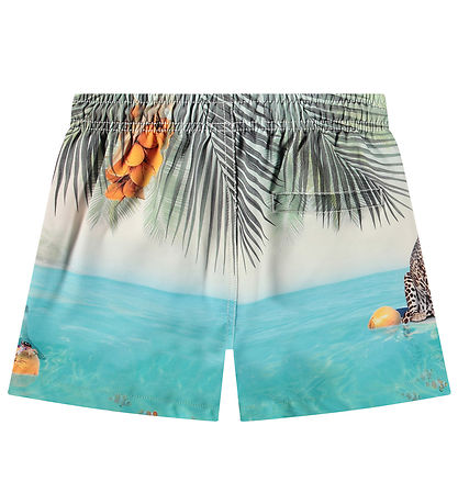 Molo Badeshorts - UV50+ - Niko - Leo On Surf