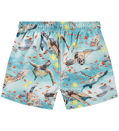 Molo Badeshorts - UV50+ - Niko - Marine Turtles