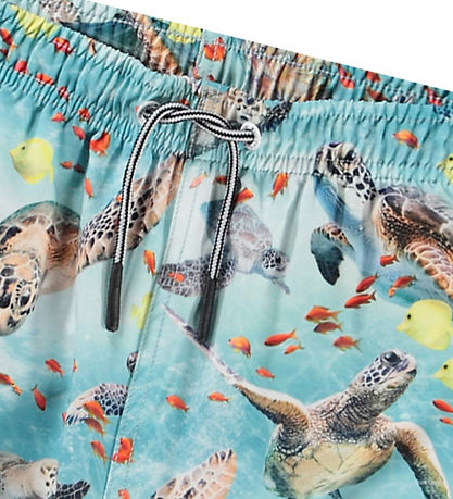 Molo Badeshorts - UV50+ - Niko - Marine Turtles