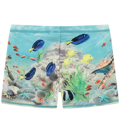 Molo Badebukser - UV50+ - Norton Placed - Happy Ocean