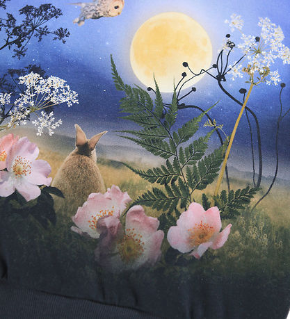 Molo Sweatshirt - Maxi - Magic Moonrise