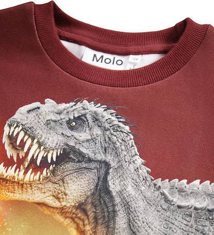 Molo Sweatshirt - Miksi - Dino Landscape