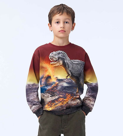 Molo Sweatshirt - Miksi - Dino Landscape