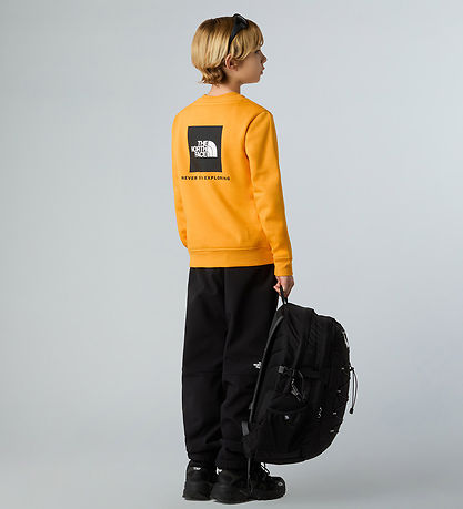 The North Face Sweatshirt - Reg Crew - Summit Gold