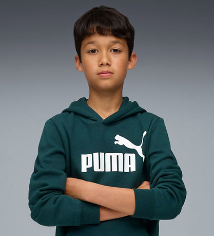 Puma Hættetrøje - ESS No. 1 Logo - Green Terrain