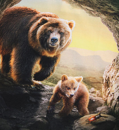 Molo Bluse - Reif - Bears in Cave