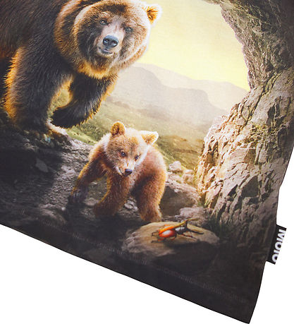 Molo Bluse - Riley - Cave Bears
