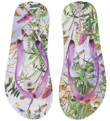 Molo Badesandaler - Zeppo - Wild Nature