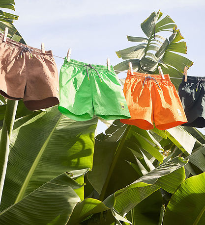 Molo Badeshorts - UV50+ - Niko Solid - Green Vibes