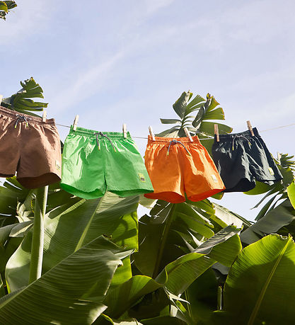 Molo Badeshorts - UV50+ - Niko Solid - Wood Green