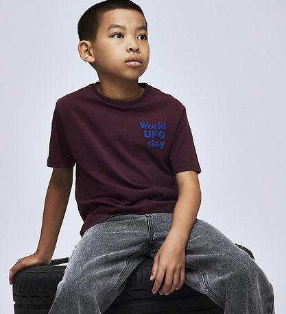 Name It T-shirt - NkmKarlo - Fig