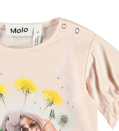 Molo T-shirt - Eline - Rabbit Friends