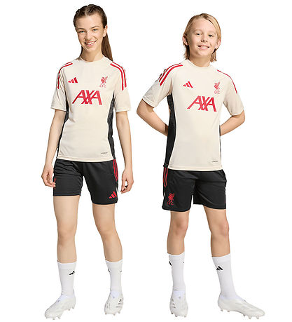 adidas Performance Shorts - Liverpool - Sort
