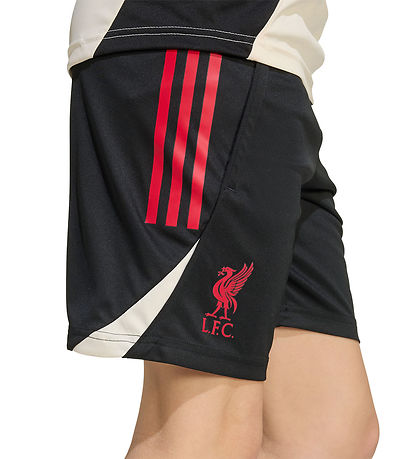 adidas Performance Shorts - Liverpool - Sort