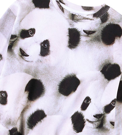 Molo Sweatshirt - Monti - Giant Panda