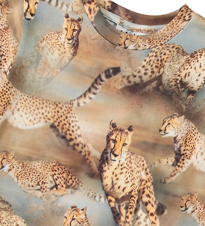 Molo T-shirt - Ralphie - Fast Cheetahs